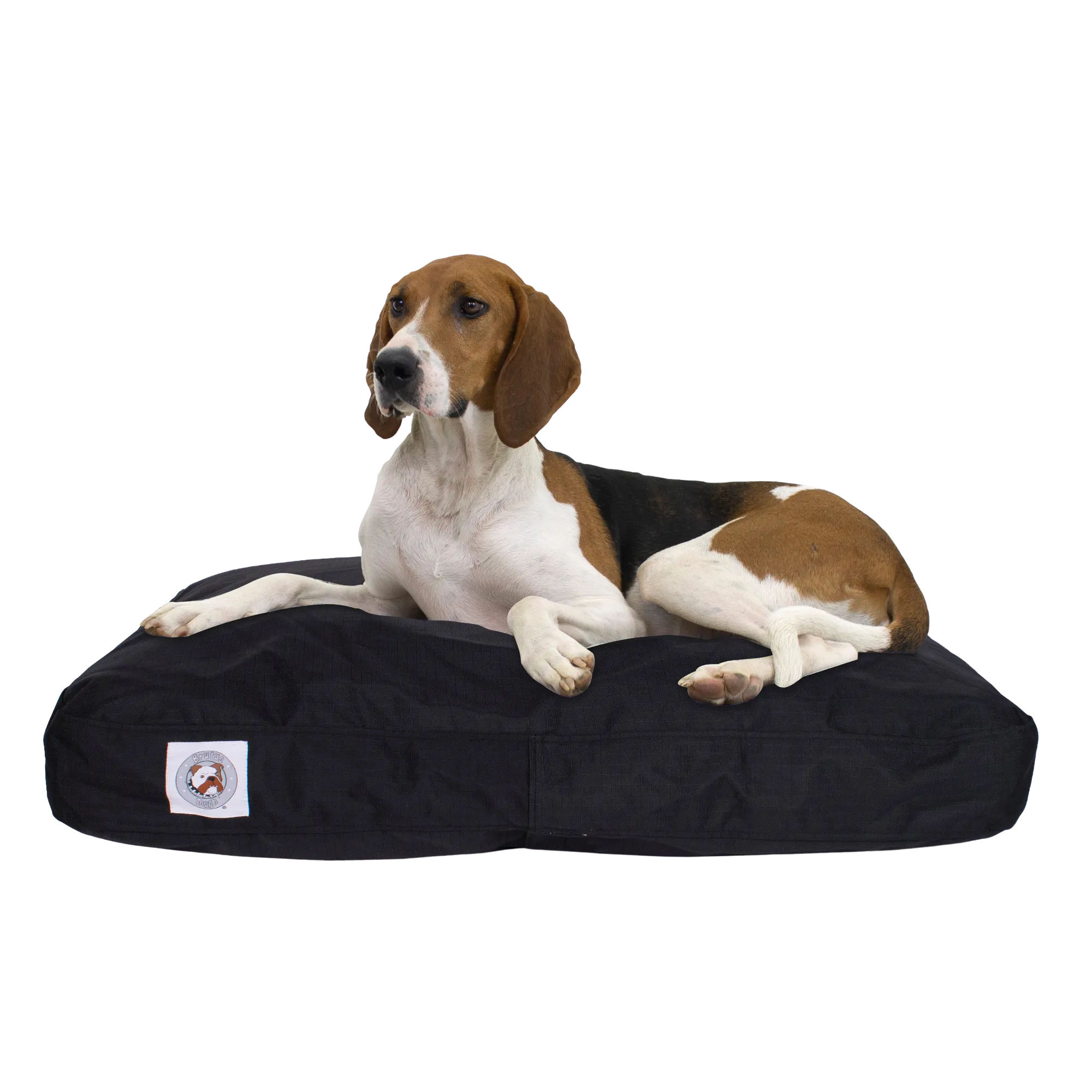 Chew Resistant Napper | Black