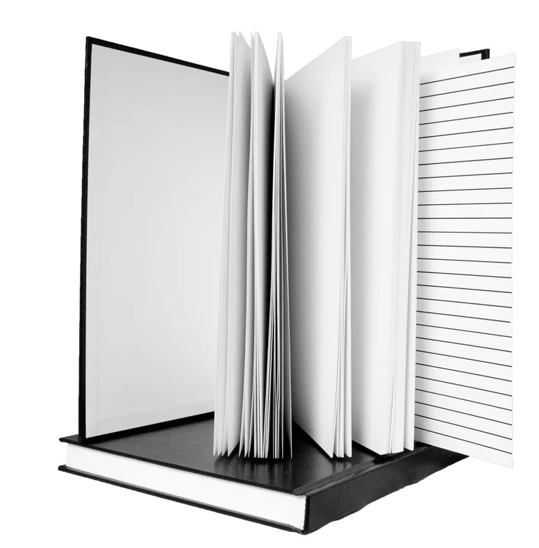 LARGE Journal Filler - Single or Discount 2-Pack