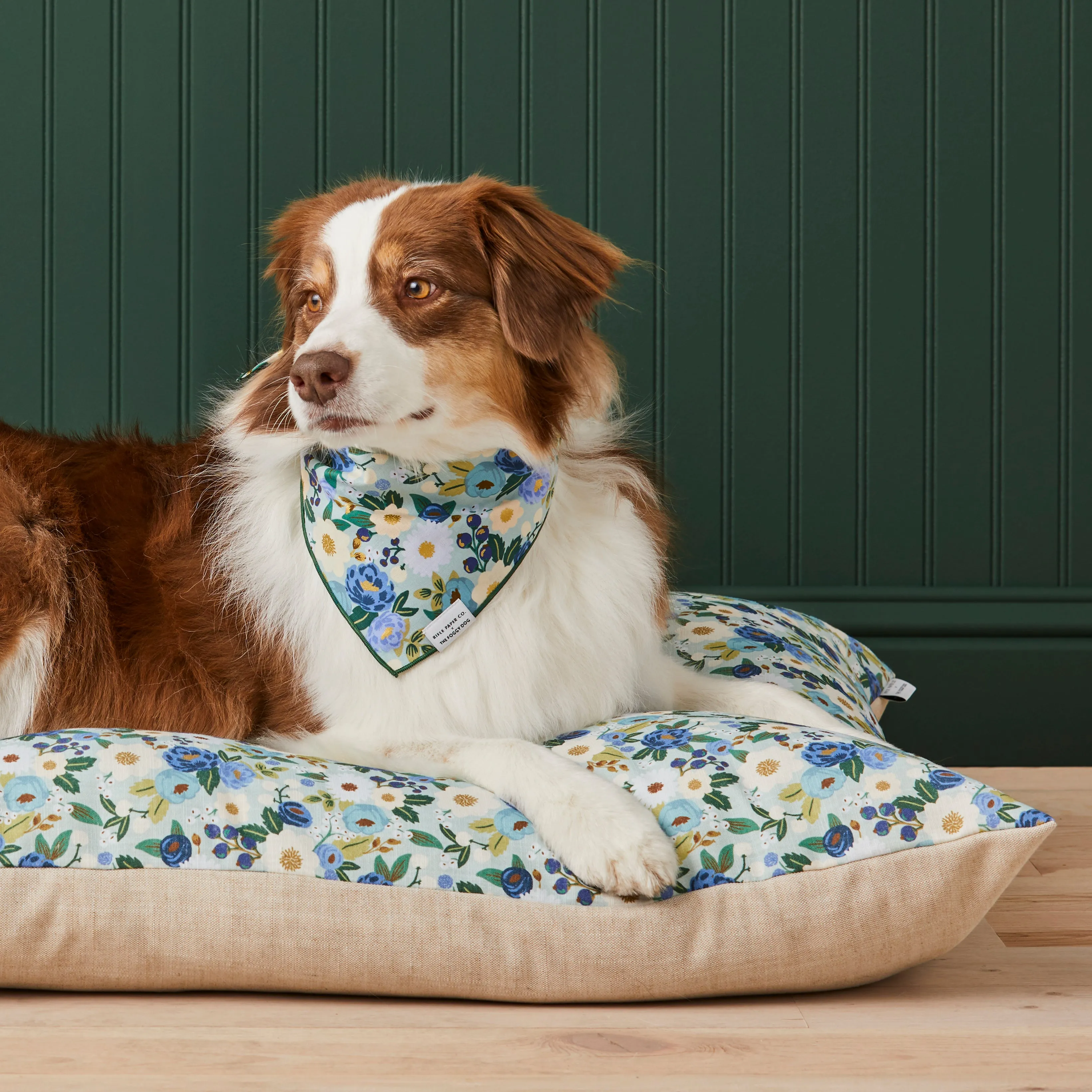 Rifle Paper Co. x TFD Vintage Blossom Dog Bed